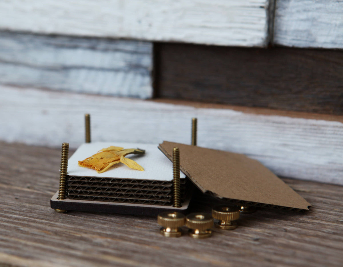 Walnut & Brass Moth-Engraved Flower Press Kit with Inserts