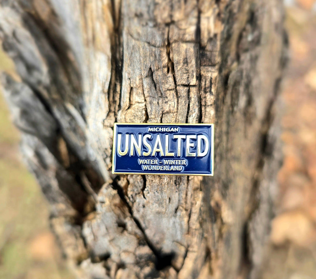 License Plate Enamel Pin