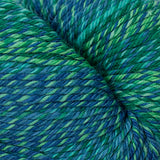 220 Superwash Wave by Cascade Yarns