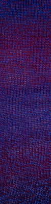 220 Superwash Wave by Cascade Yarns