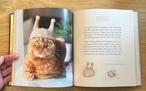 Cat-Hair Hats for Cats