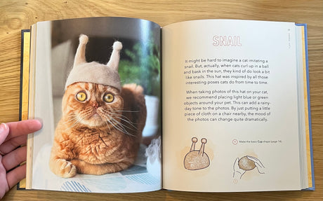 Cat-Hair Hats for Cats