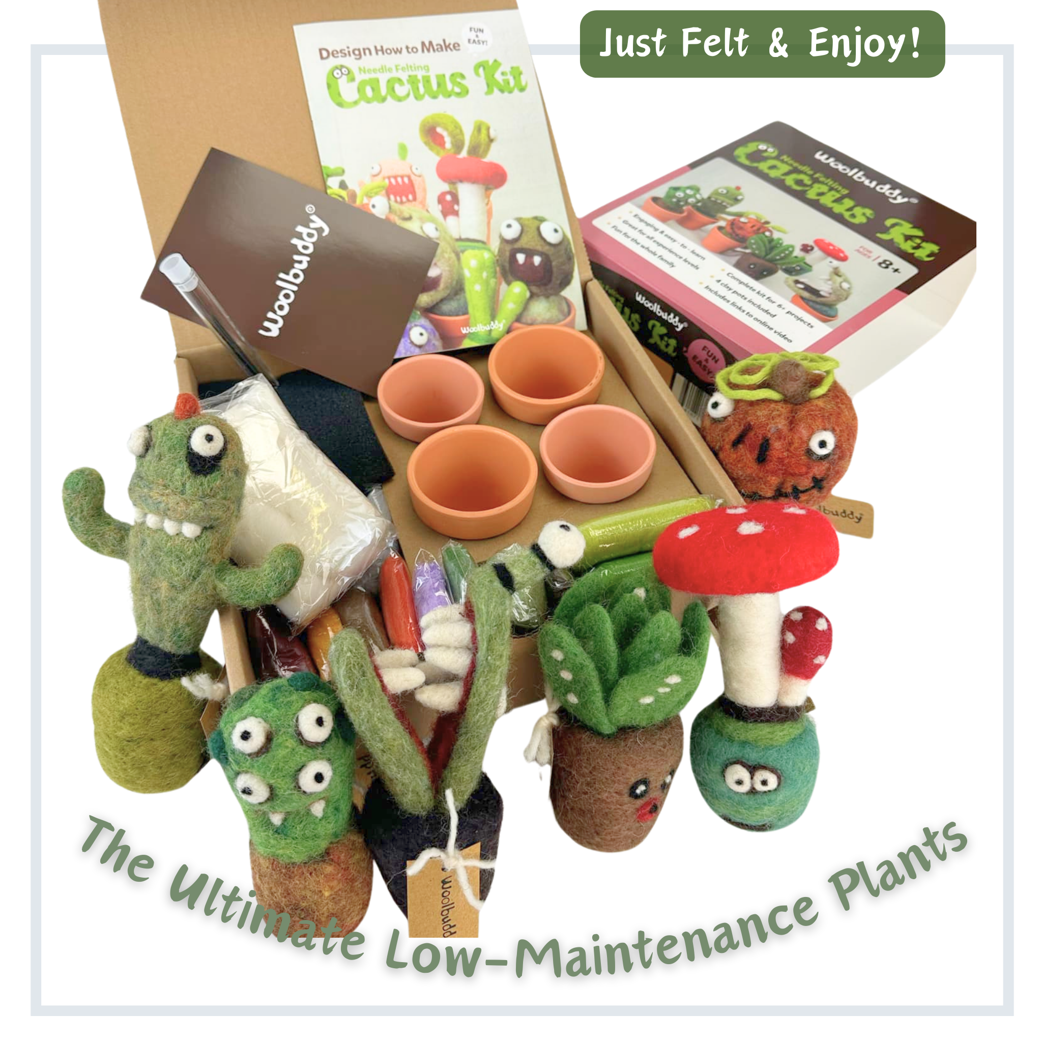 DIY Needle Felting Kit for Beginners – Make Your Own Cactus