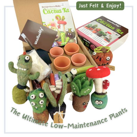 DIY Needle Felting Kit for Beginners – Make Your Own Cactus