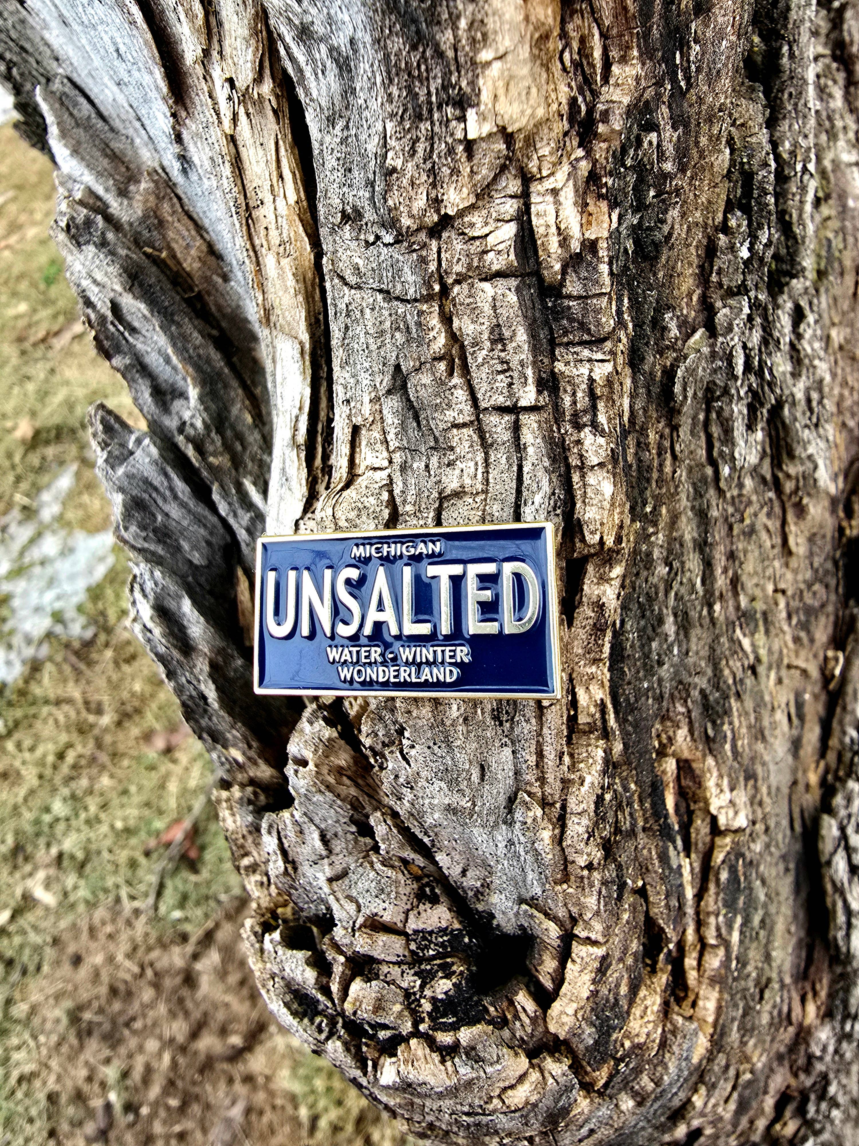 License Plate Enamel Pin