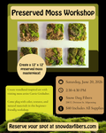 Preserved Moss Workshop 6/20