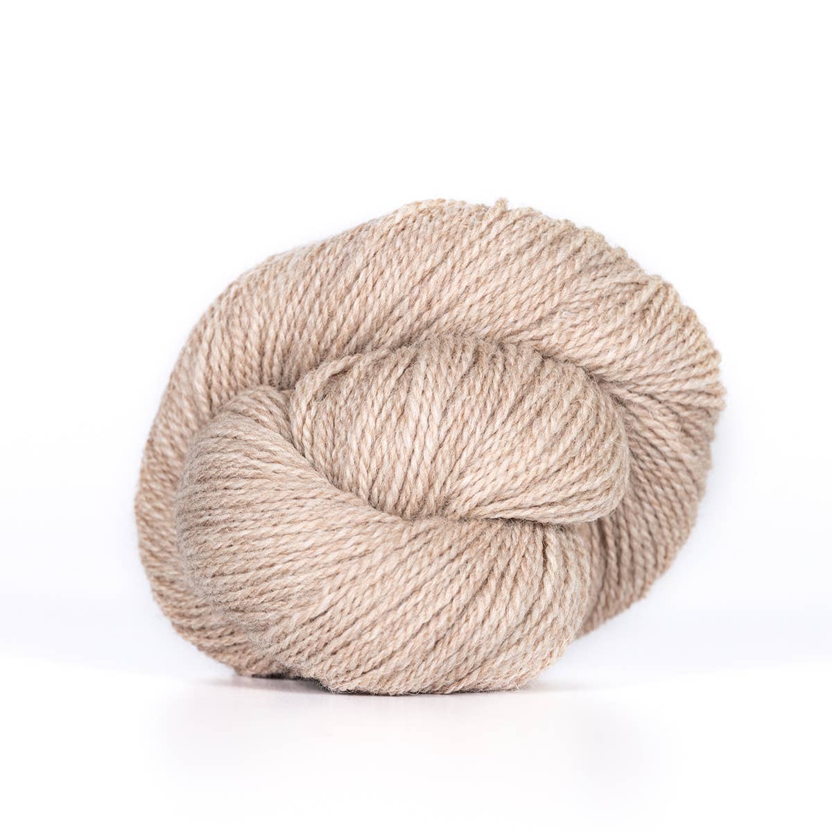 Camper Fingering Yarn
