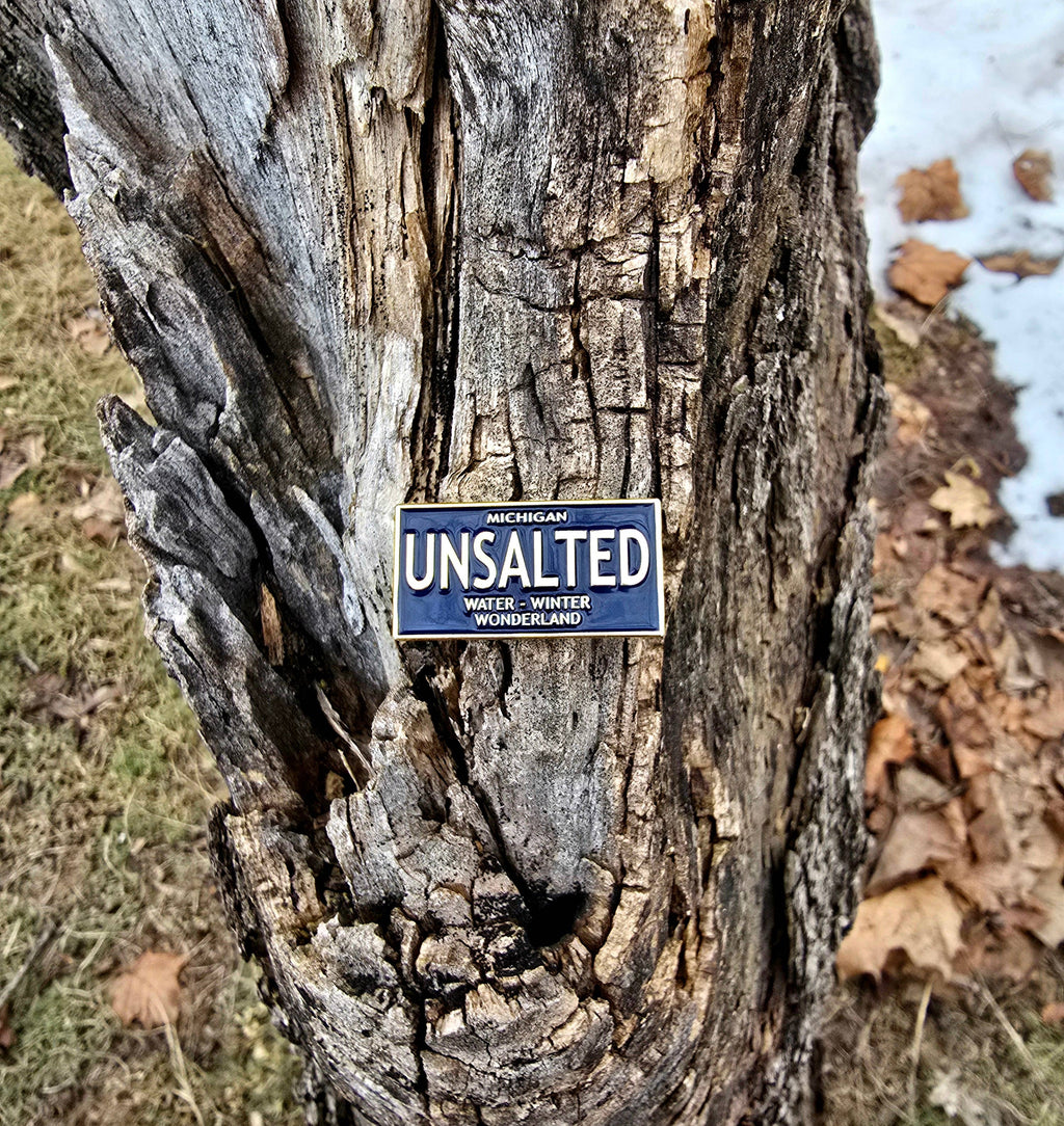 License Plate Enamel Pin